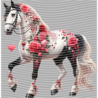 Valentine's Day-QRJ  5848